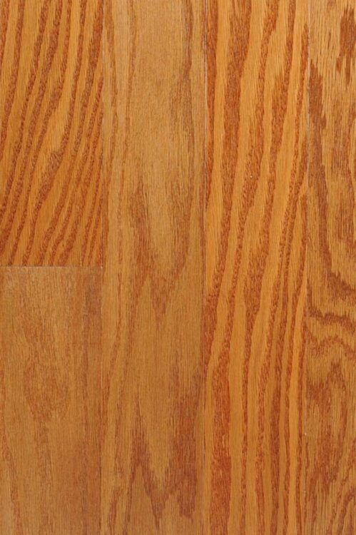 Butterscotch Red Oak 11OAK-BUTRED