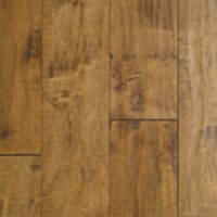 Autumn Maple 10689