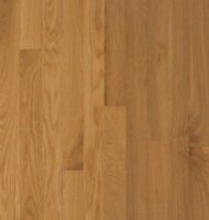 Cornsilk C8239