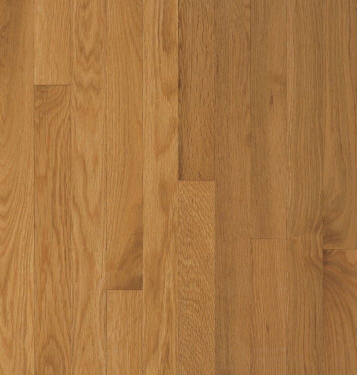 Cornsilk C8239