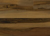 Brazilian Pecan IPTRENGMP5