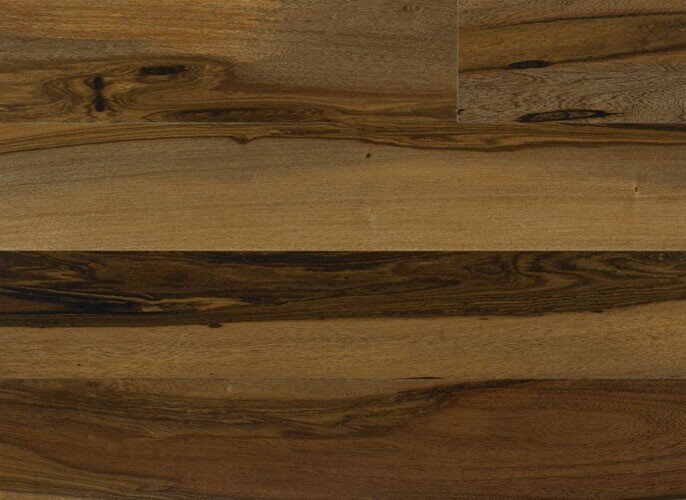 Brazilian Pecan IPTRENGMP5
