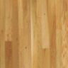 Red_Oak7t.jpg