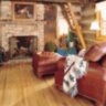 Red_Oak11a.jpg