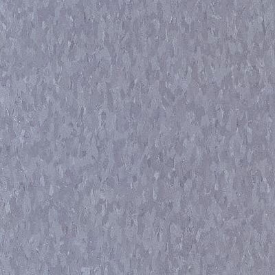 Blueberry 51881