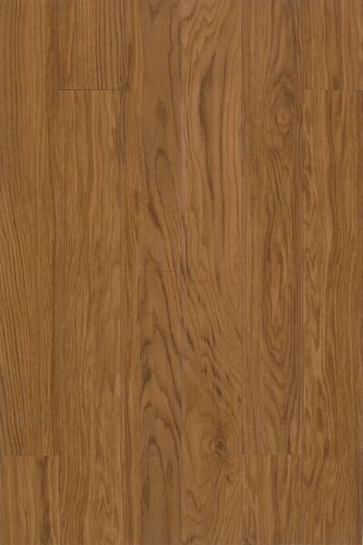 Roan Oak Warm TP036