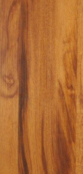 Maximus Chestnut