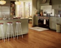 Butterscotch EWC4509