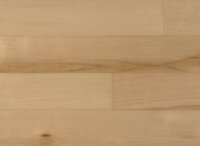 American Maple IPPFENGAM3