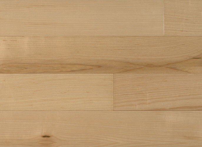 American Maple IPPFENGAM3