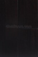 Black Rose 3-3/4"
