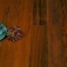 Patagonian-Rosewoods1.jpg