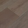 Whiteleaf_Oak_1.jpg