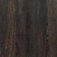 Black Olive EHP3004