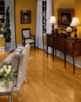 Butterscotch CB1326