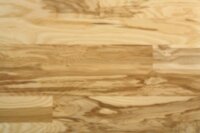 Golden Arrow Ash SVA510