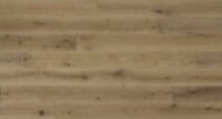European Oak Levanto REW5875COLV