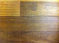 Brazilian Chestnut IPPFHSDC51/2