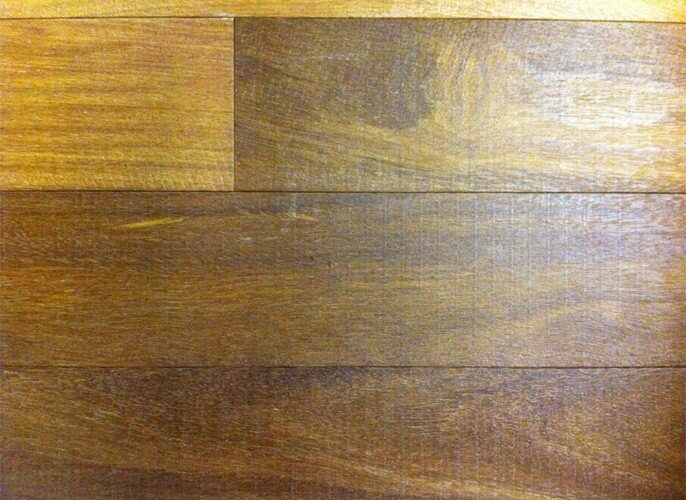Brazilian Chestnut IPPFHSDC51/2