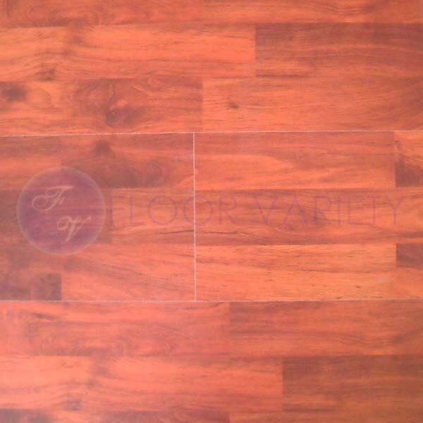 Red Alder