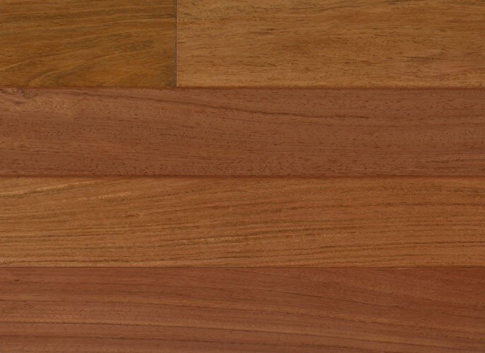 Brazilian Cherry IPPFBC51/2
