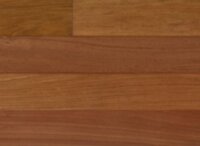 Brazilian Cherry IPPFBC73/4