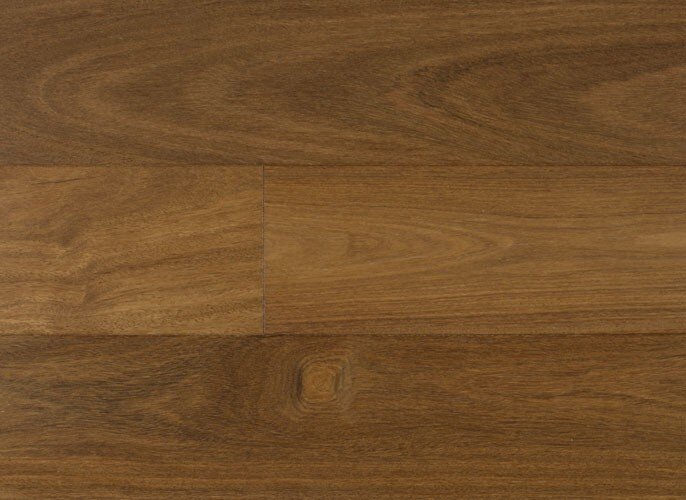 Brazilian Chestnut IPPFTC4