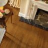 Falcon_Brownp9.jpg