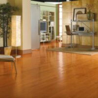 Russet Cinnamon EMA86LG