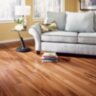 Tigerwood_Natural1dh.jpg