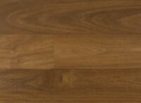 Brazilian Chestnut IPPFTC5/16