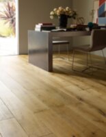 Ligurian MCGR524