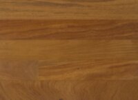 Brazilian Teak IPPFBT5/16