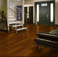 Autumn Brown EWT30LG