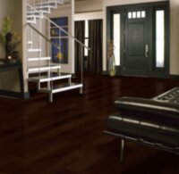 Cocoa Brown EWT22LG