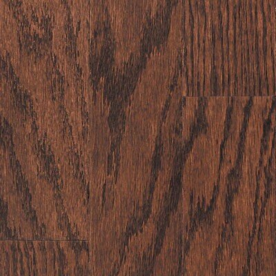Oak Bridle 17656
