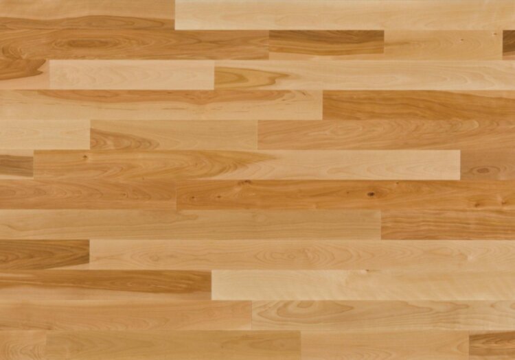 Yellow Birch Natural  3-1/4" YB030525