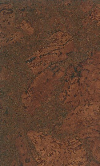 Elsa.jpg Elsa 40P4612