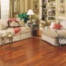 Brazilian_Cherry15b.jpg Brazilian_Cherry15b.jpg