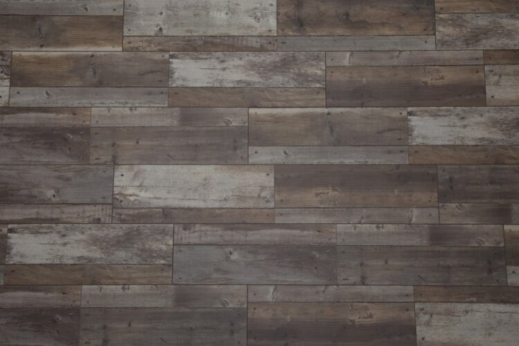 Western_Elm.jpg Western Elm ETP746