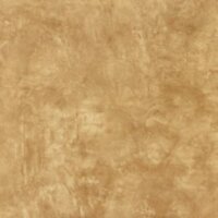 Color Wash Gold TP507