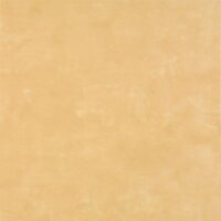 Color Wash Mid Gold TP542