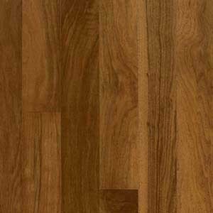 Ginger EPP3110