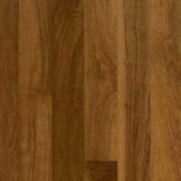 Ginger EPP4110