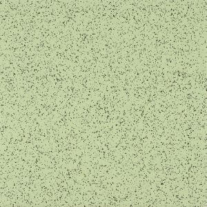 Katydid.jpg Katydid 52198