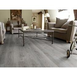 Forest Oak Cloud 42144399