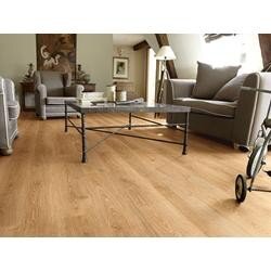 Forest Oak Gold 42144401