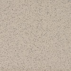 Powdered_Tea_Rose.jpg Powdered Tea Rose 52174