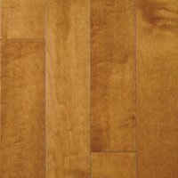 Golden Maple 15557