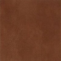 Buckskin Auburn TP744